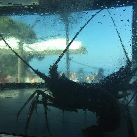 מלון Stella Maris