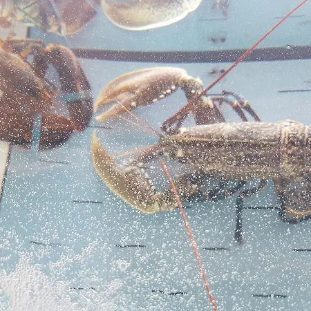 Stella Maris Hotel Camogli