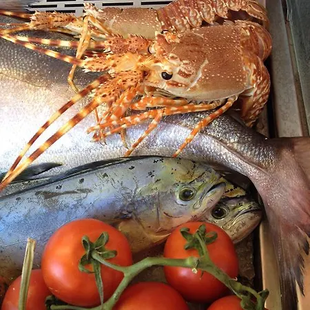 מלון Stella Maris 3*