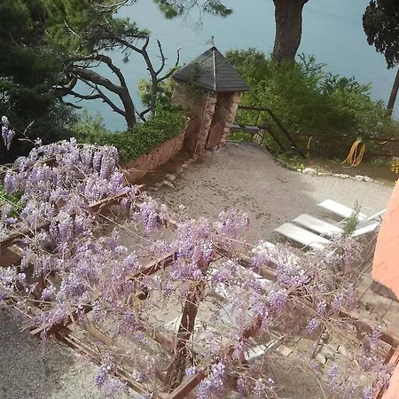 Stella Maris Camogli