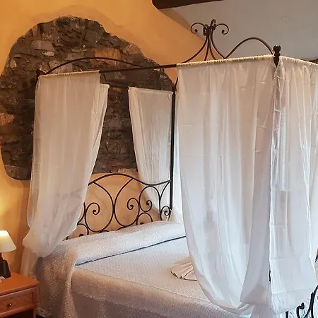 Stella Maris Camogli