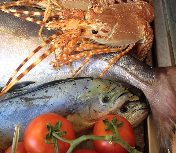 Отель Stella Maris 3*