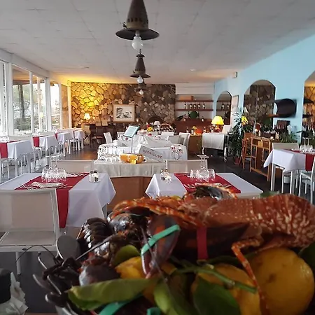 Stella Maris كامولّي