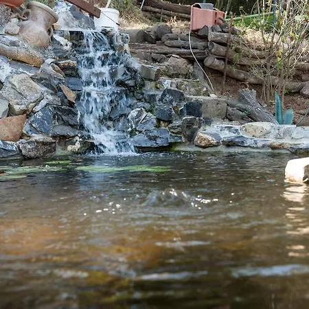 호텔 Stella Maris 3*