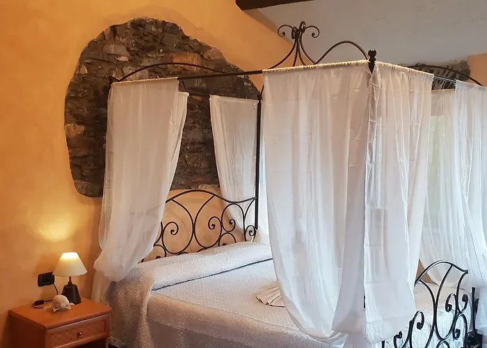 Stella Maris Camogli